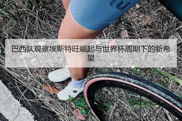 巴西队观察埃斯特旺崛起与世界杯周期下的新希望